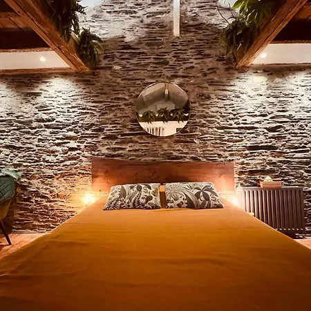 Jungle - Les Petits Plaisirs *