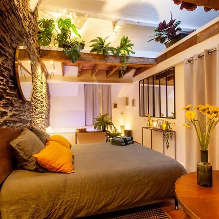 Apartamento Jungle - Les Petits Plaisirs Angers