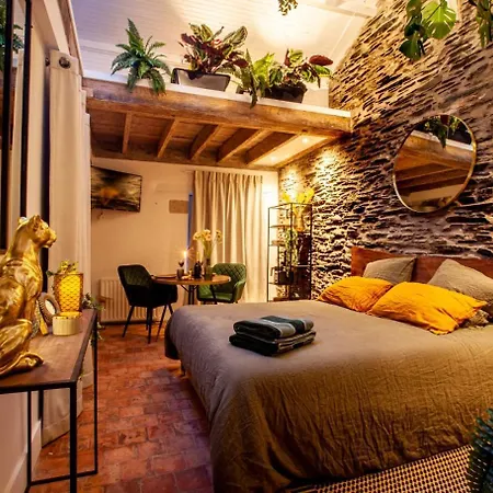 Jungle - Les Petits Plaisirs * アンジェ