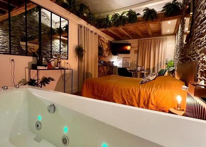 Jungle - Les Petits Plaisirs アンジェ