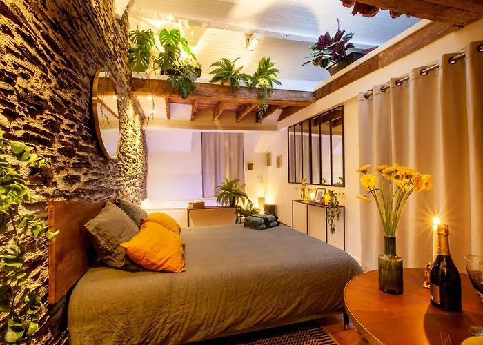 アパート Jungle - Les Petits Plaisirs アンジェ